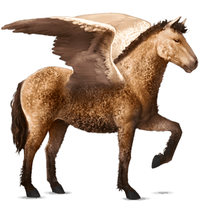 ridepegasus curly blakket
