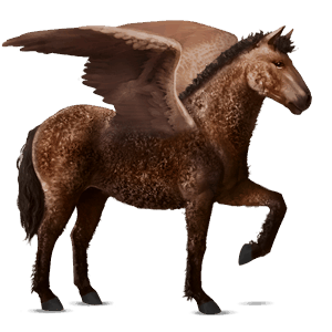 ridepegasus curly brun