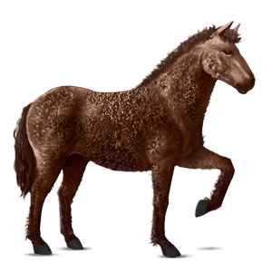 ridehest andalusier gråskimmel