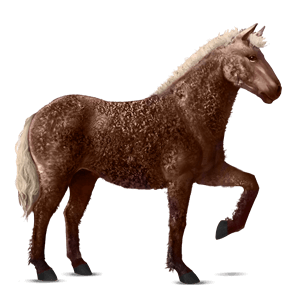 ridehest curly leverrød