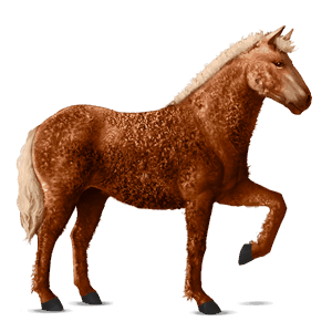 ridehest appaloosa sort leopard