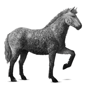 ridehest curly rød