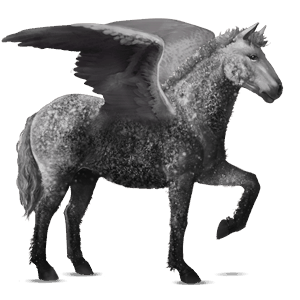 ridepegasus islænder gråskimmel