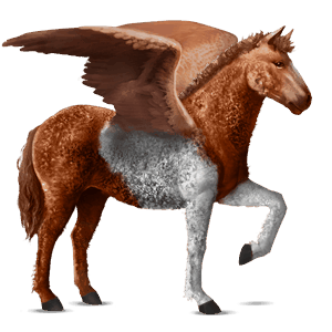 ridepegasus curly rød tobiano