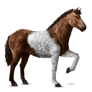 ridehest curly rød