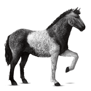ridehest curly rød tobiano