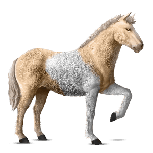 ridehest curly rød