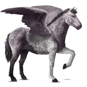 ridepegasus curly rød