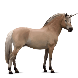 enhjørningepony fjordhest brunblak
