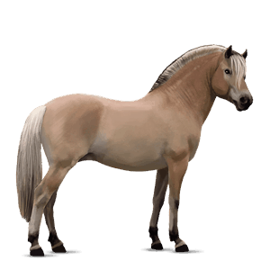 pony brunblak