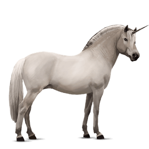 enhjørningepony fjordhest brunblak