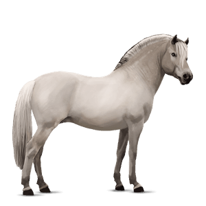 pony brunblak