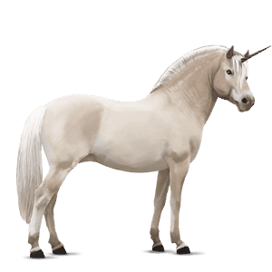 enhjørningepony fjordhest gulblak