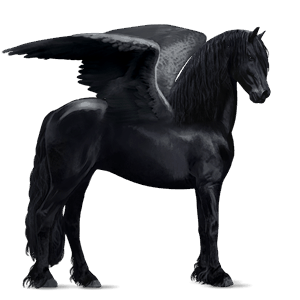 ridepegasus frieser sort