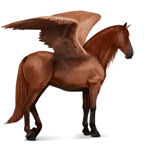 ridepegasus hannoveraner brun