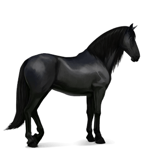 ridehest sort
