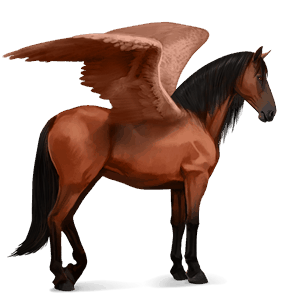 ridepegasus frieser sort