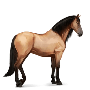 ridehest tennessee walker blakket