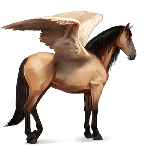 ridepegasus andalusier blakket