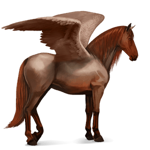 ridepegasus hannoveraner kirsebærbrun