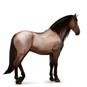 ridehest tennessee walker blakket