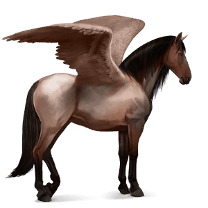 ridepegasus andalusier sort