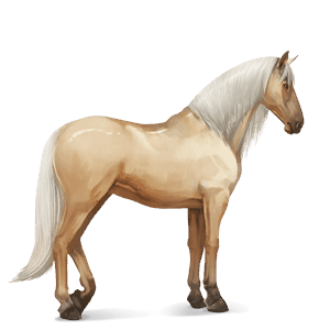 ridehest andalusier palomino