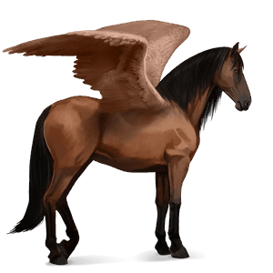 ridepegasus rød