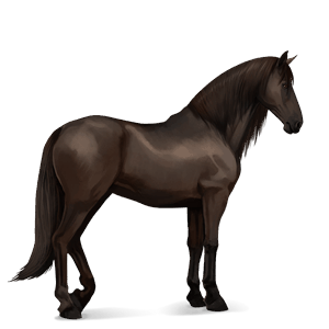 ridehest paint horse mørkebrun tobiano