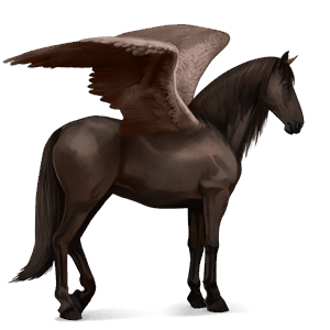 ridepegasus andalusier lysegrå