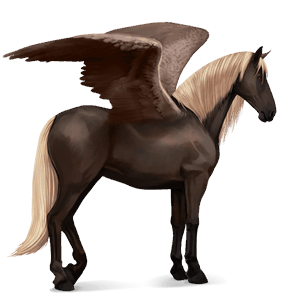 ridepegasus tennessee walker skimmel