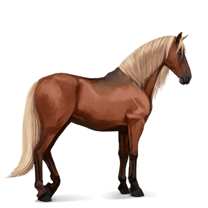 ridehest andalusier rød med lys man og hale