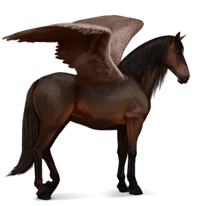 ridepegasus holstener mørkebrun