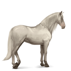 ridehest kirsebærbrun