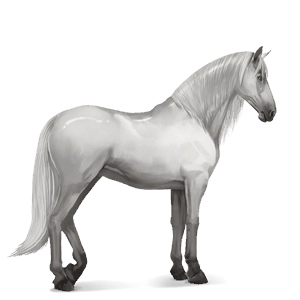ridehest lysegrå