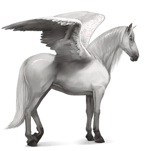 ridepegasus andalusier lysegrå