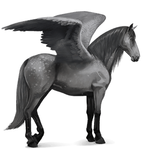 ridepegasus hannoveraner musegrå