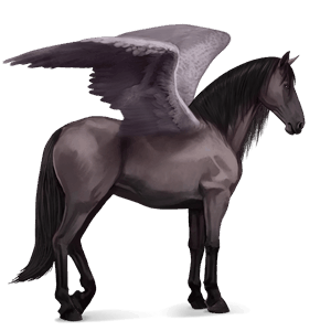 ridepegasus andalusier gråskimmel