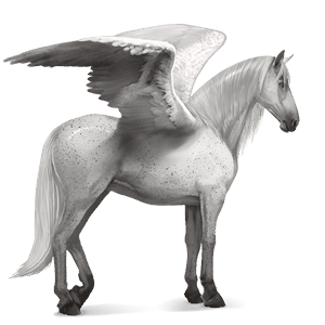 ridepegasus flueplettet grå