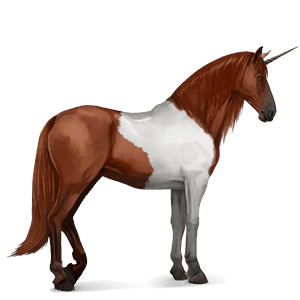 rideenhjørning quarter horse kirsebærbrun