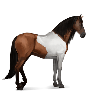ridehest islænder rød