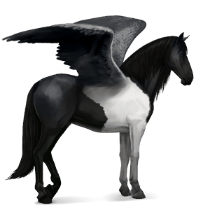 ridepegasus paint horse sortbroget tobiano