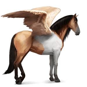 ridepegasus andalusier lysegrå