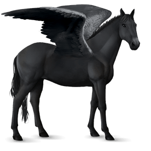 ridepegasus islænder musegrå