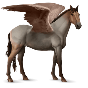 ridepegasus islænder leverrød