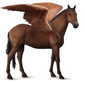 ridepegasus brun