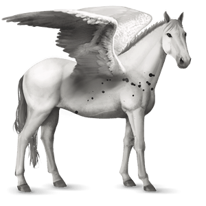 ridepegasus holstener lysegrå