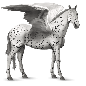 ridepegasus araber rød
