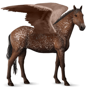 ridepegasus knabstrupper brun snowflake