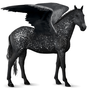 ridepegasus nokota sort overo